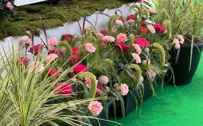 The World's Biggest Floristry Competition Came to Manchester! JParkers