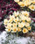 Crocus chrysanthus 'Cream Beauty'