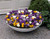Crocus Large Flower Mix 9cm+