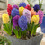 Hyacinth Fine Mixture 14-15cm