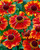 Helenium Chelsey
