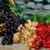 Currant  Whitecurrant 'Versailles'