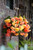 Begonia Apricot Cascades