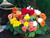 Begonia Non Stop Mix 5/6cm