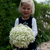 Hydrangea Arb. Annabelle
