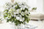 Hydrangea Runaway Bride (13cm Pot)