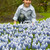 Muscari Magic Collection