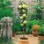 Miniature Patio Fruit Trees Collection x5