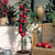 Miniature Patio Fruit Trees Collection x5