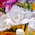 Freesia Giant Double Collection