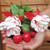 Fuchsia Giant Trailing Collection