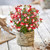 Fuchsia Patio Fairy Collection