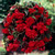 Begonia Giant Cascasding Exhibition Collection