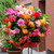 Begonia Balcony Collection