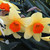 Narcissus English Grown Collection