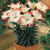 Short Stemmed Lilium Collection