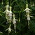 Fuchsia Hardy Bride of Thumb