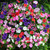 Petunia Trailing Easy Wave Mix F1