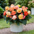 Begonia Superba Collection