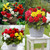 Begonia Complete Patio Collection