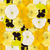 Winter/Spring Pansy Collection