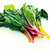 Swiss Chard Rainbow Mix