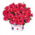 Petunia Surprise Sparkling Collection