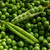 Pea - Feltham First