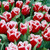 Tulip 'Canasta'