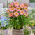 Hemerocallis Soft Secrets