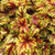 Heucherella 'Gold Zebra'
