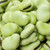 Broad Bean Aquadulce Claudia