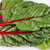 Swiss Chard Magenta Sunset