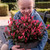 Photinia Little Fenna