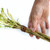 The Woven Willow - Mini Wand