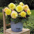 Begonia Mighty Mini Collection