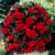 Giant Pendula Begonia Collection