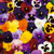 132 Poly/Pansy Collection