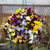 Pansy Cool Wave Mix