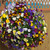 Pansy Cool Wave Mix
