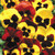Pansy Matrix Mix Autumn Blaze