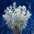 Buddleja Silver Anniversary