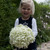 Hydrangea arborescens Annabelle