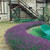 RHS Pollinator Complete Collection - 5cm Module
