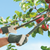 Premium Rigger Gloves - Medium