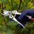 Wilkinson Sword Deluxe Bypass Pruners