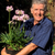 Agapanthus 'Blush Pink'