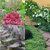 Shady Corner Potted Plant Collection