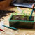 Widger, Dibber, Pencil & 15cm Plant Labels