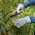 Bees Premium Lightweight Rigger Gloves